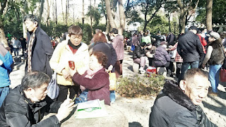 图片[4]-控告状：上海毕和英、毕毅超：我们被普陀区政府强拆后又继续遭人权迫害的遭遇(三)-1984bbs