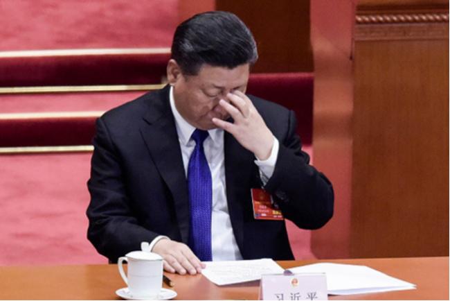 习近平资料图