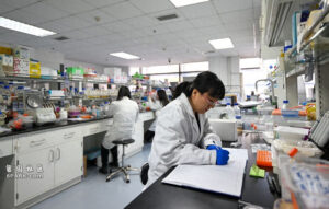 美国国会报告:中国正迅速主导生物技术领域-1984bbs