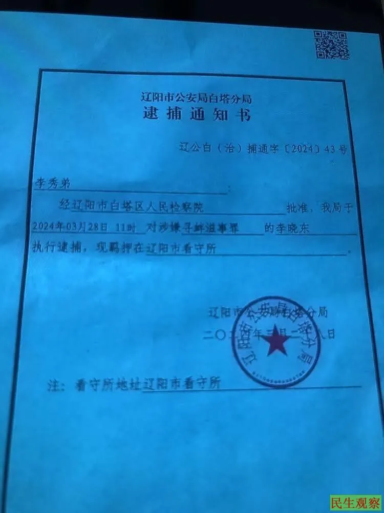 辽宁维权人士李晓东被寻衅滋事一案开庭-1984bbs