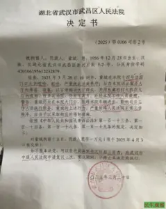 童斌不服武昌法院拘留决定申请复议-1984bbs