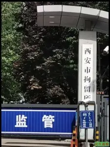 乔朝林被羁押七年成植物人案件至今不判-1984bbs