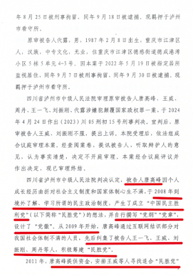 图片[2]-获刑12年的四川泸州“中国民主胜利党”创建人唐高峰的案情及简历-1984bbs
