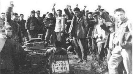 中共对知识分子的欺骗（3）文革巨难-1984bbs
