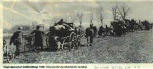 《毛泽东：鲜为人知的故事》(51)-1984bbs