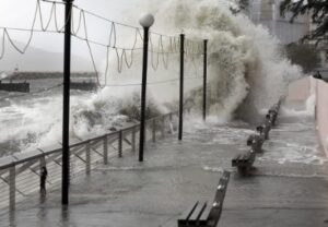 被遗忘的百年历史（V）2001至2005-1984bbs