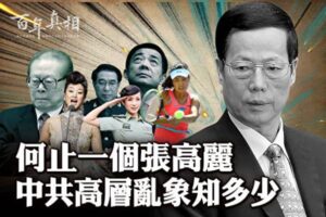 《毛泽东：鲜为人知的故事》(54)-1984bbs