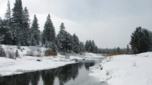 央视播假剧 女知青生子遭受的悲惨境遇-1984bbs