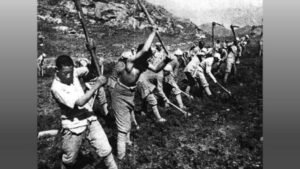 张思德的死因隐藏中共致富的秘密-1984bbs