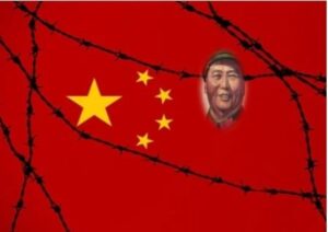 毛泽东发动的“挖祖坟”运动-1984bbs