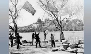 那时的“动态清零” 麻雀也不放过-1984bbs