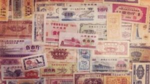 命根子粮票害我错过了漂亮老婆-1984bbs