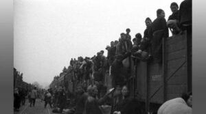 2600个少年亡灵 中国的奥斯威辛悲剧-1984bbs