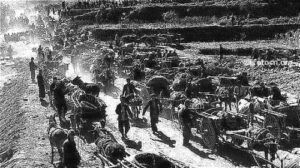 从50年代就开始的生态大破坏 我的家乡-1984bbs