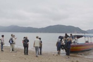 阿威的“长征”——知青逃港“起锚”之七-1984bbs