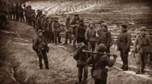 纵容北朝鲜南侵 林彪认为朝鲜战争是斯大林的阴谋-1984bbs