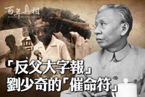 【百年真相】沉重打击刘少奇的一张大字报-1984bbs