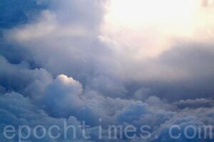 “土改”和“文革”时期打手的离奇报应-1984bbs