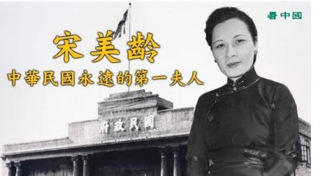 仪态万方 宋美龄接见希特勒“劝降密使”-1984bbs