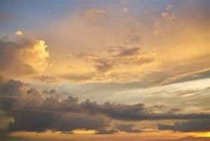 历史的教训——感悟中共运动因果律（一）-1984bbs