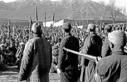 大陆土改为何会死450万人-1984bbs