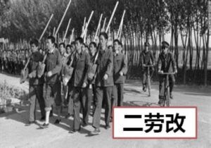 张先痴：鲜为人知的"二劳改"-1984bbs