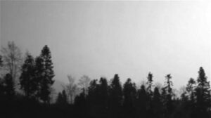 三千冤魂的幸存者 曾经竟发愿做个饱死鬼-1984bbs