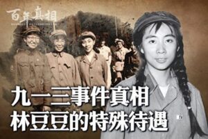 【百年真相】差点改写九一三事件 林豆豆挨整始末-1984bbs