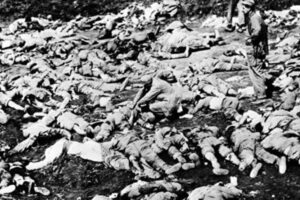 志愿军战俘引出邓小平西南“剿匪”真相-1984bbs