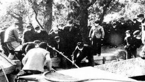 孔子墓文革中被疯狂掘毁-1984bbs