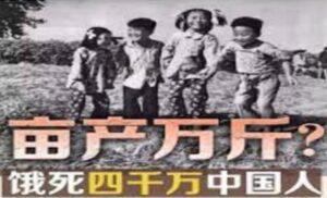 中共罪行录之一百四十一:亩产十万斤,广西环江县饿死四万人(中)-1984bbs