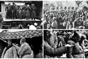 中共罪行录之一百四十四：土改的三大目的-1984bbs