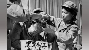 我是如何成了共党干部升迁的垫脚石？-1984bbs