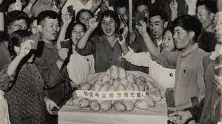 错看一个字被打入地狱-1984bbs