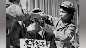 右派血泪：相信中共 生死飘摇五十载-1984bbs