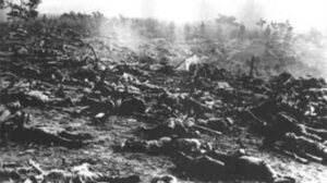 惨不忍睹！当年目击证人谈中共的人海战术-1984bbs