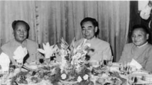 「功臣」都死於謀殺 打手鄧小平取得毛信任-1984bbs