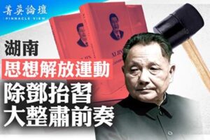 【菁英论坛】湖南推思想解放运动 大整肃前奏-1984bbs