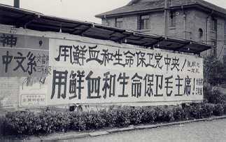 蒋介石祖坟文革被毁蒋母遗骨被焚-1984bbs