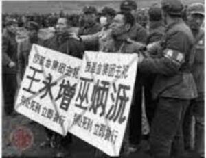 “这个世道太黑暗了！”-1984bbs