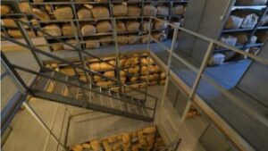 柏林墙突然倒了 是她机警保住秘密警察档案-1984bbs