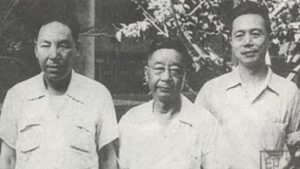 打倒黑帮分子赵树理!-1984bbs