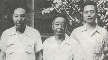 打倒黑帮分子赵树理！-1984bbs
