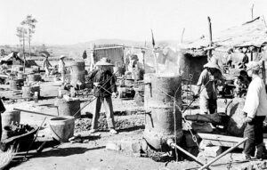 中共“大跃进”致大饥荒 死亡人数或超四千万（二）-1984bbs