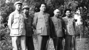 五毛惊不心惊？做党的喉舌 下场这么惨-1984bbs