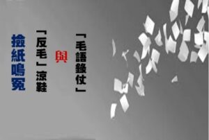 捡纸鸣冤、“反毛”凉鞋与“毛语录仗”-1984bbs
