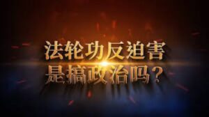 “法轮功搞政治，勾结国外反华势力”？——中共謊言100例(83)-1984bbs