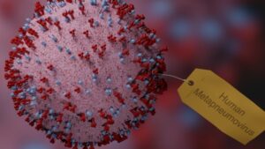 白肺猝死现象增多 中共隐瞒新毒株?-1984bbs