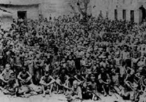 中共罪行录之：亳州吃人惨剧-1984bbs