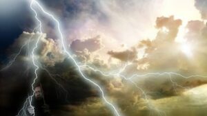 要玫瑰，更要自由-1984bbs